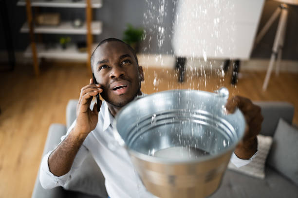 Best Carpet water damage restoration  in Patchogue, NY