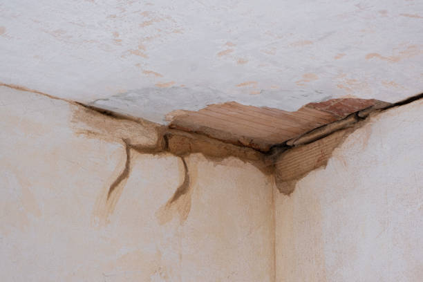 Best Mold removal after water damage  in Patchogue, NY
