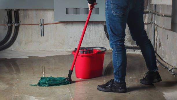  Patchogue, NY Water damage restoration Pros
