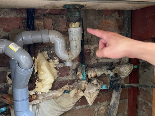 Best 24-hour water damage restoration  in Patchogue, NY