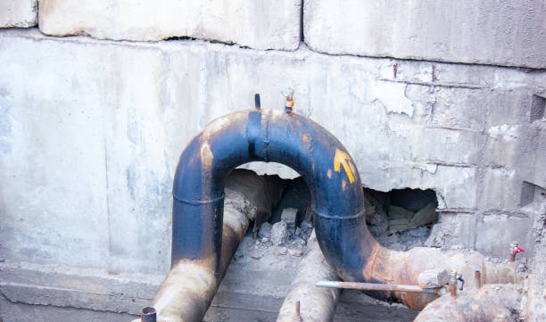 Best Water damage cleanup near me  in Patchogue, NY
