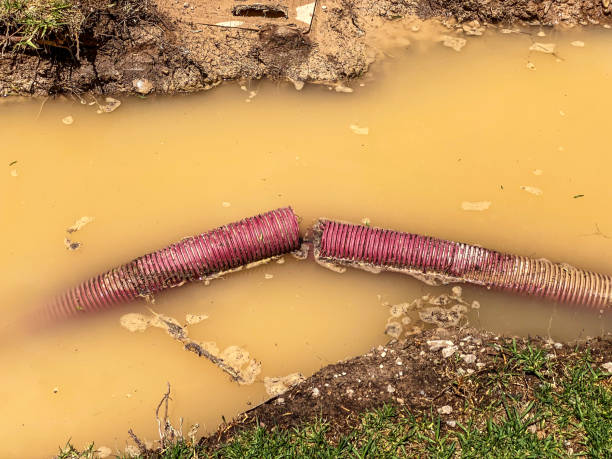 Best Emergency water damage restoration  in Patchogue, NY
